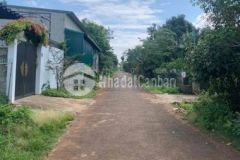 Bán đất nguyễn xuân nguyên