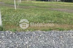 Đất thổ cư sổ hồng riêng cách nhựa 200m