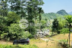 Bán gấp siêu phẩm dt hơn 2000m2 full thổ cư view nhìn ra dự án của sungroup