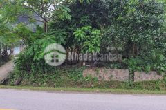 Hot chỉ 8xxtr có ngay lô đất mặt đường ql12b có dt 147m2 full thổ cư kd đỉnh bán gấp lô đất mặt đ