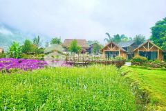 Đất nền sapa đón sóng sân baytiềm năng tăng giá