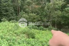 Mảnh đất siêu đẹp giá rẻ tại mò phú chải y tý sapa2