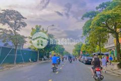 Cần tiền bán lô đất tđc trâu quỳ. view vườn hoa, giá rẻ vô địch.