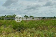 Bán lô đất duyên hải, long hòa, cần giờ 25 nh42m x 110, giá 9,8 tỷ