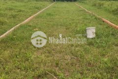 Bán đất 147m2 full thổ cư, sau lưng coppmart cần giuộc