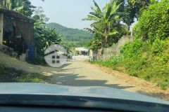 200m full thổ cư tại bãi chạo, kim bôi