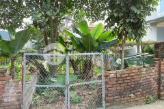 Hơn 2 tỷ xíu có lô đất nở hậu dt 113m2 tại miễu tiến xuân, sát đh thủy lợi và đh quốc gia hòa lạc