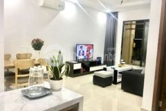 Chung cư cityland quận gò vấp diện tích 50m2
