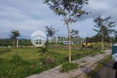 Đất view đồi chè kế thác đambri 20x25 shr 4tỷ9