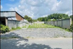 Cần bán nhanh lô đất mt trịnh như khuê bình chánh