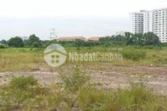 Bán 8570m2 đất có 5000m2 đất ont mt đường qbtân