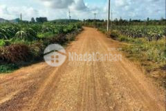 Đất vườn thanh long bình thuận chỉ từ 200trlô