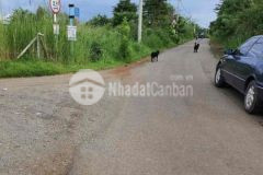 Đất mặt tiền kinh doanh chợ sông thao giá ngộp