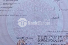 Chuyển nhượng 120m2 đất tdp đoàn kết đồ sơn