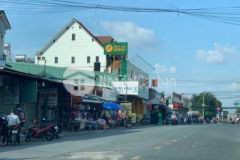 Bán đất chơi world cup tx trảng bàng