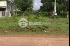 Cần bán đất ngay tt dmc 600m2 sẵn 200m2 tc