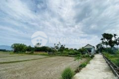 Cực sốc bán lô điện tiến giá rẻ chỉ 3 5 triệum2