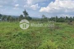 Đất đầu tư pơng drang