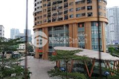 Kim văn kim lũ thua lỗ chứng khoán