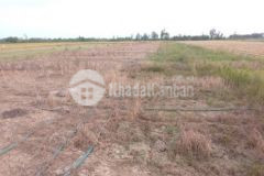 Đất nền gò công tây tiền giang