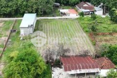 5x50 full tc bê tông dân đông rẻ hơn 20