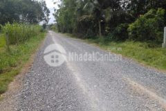 Đất đường an lợi cách quốc lộ 22 500m 450tr150m2