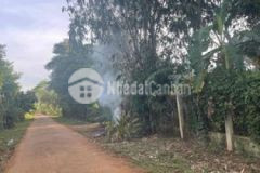 Đất đầu tư tại cuor đăng