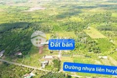 Đất f0 đầu tư quảng hiệp cư m gar dt 500m đường 8m