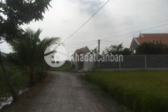 Chủ bán 1000m2 đất lúa tân lân mt xe hơi giá rẻ