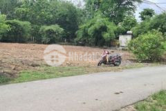 Chính chủ gửi bán lô đất thổ vườn đường trải đá