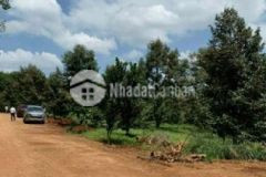 Cần bán gấp hơn 2000m2 đất vườn sầu riêng 275trs