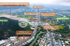 Nhà mặt tiền 110m2 đường 42m tây sơn tp quy nhơn