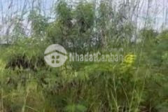 Bán lỗ nền kdc tân lân cần đước