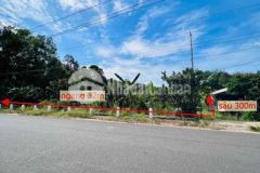 Bán đất thanh tuyền dầu tiếng bình dương