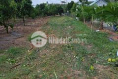 Đất trừ văn thố ngang 7m xây trọ