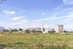 Sót lại lô fpt v5 cắt lỗ cực mạnh trục thông