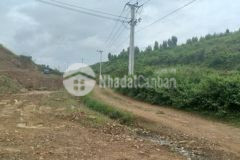 Bán đất ninh thượng 2000m giá 320 triệu