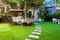 Cho thuê nhà sân vườn đường mai chí thọ