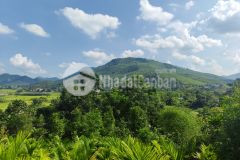 2600m có 6 1000m tại kim bôi, hòa bình