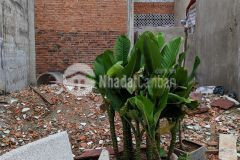 Bán gấp đất khu phân lô, phước long b, 61m2, hxt, nhỉnh 60 triệum2, chỉ 4.1 tỷ