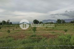 Đất vườn giá rẽ, cánh qlộ 1a 2km cao tốc bắc nam 1,5km