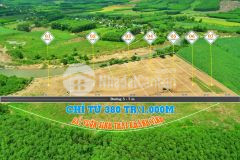 Đất vườn giá rẻ tại nha trang, khánh hòa, giá chỉ 380k1000m2, gần sông và đã có cây ăn trái trên đấ