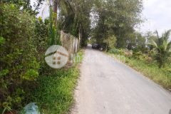 2.5công mặt tiền đường gò me,long hưng,châu thành,tiền giang