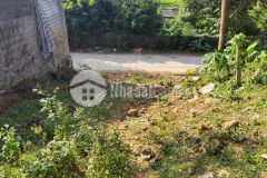 Dự án sungroup tại thị trấn bo, kim bôi