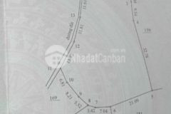 Bán vườn thanh long 1546 8m2 sổ sẵn đường 4m