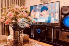 Đất ngõ thông ô tô vĩnh hưng 41m giá 2 65 tỷ