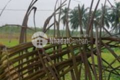 Đất thổ cư phước ninh dương minh châu tn