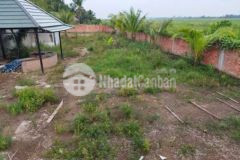 Bán đất đang có mô hình homsay vô chỉ khai thác