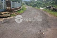 Chỉ cần 250tr sở hữu ngay 250m2 sẵn 100m2 thổ cư