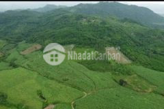 Chủ cần tiền bán đất rẫy sơn nguyên sơn hoà